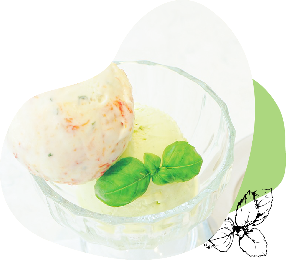 伊豆のハーブベビーバジル｜いずばじ